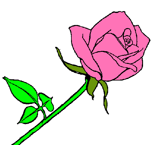 Dibujo Rosa pintado por DORAYBOTAS