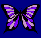 Dibujo Mariposa pintado por MORADO