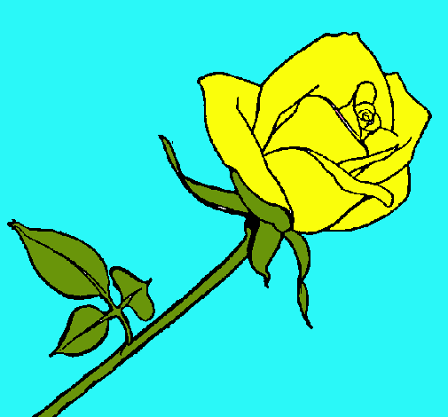 Dibujo Rosa pintado por lore