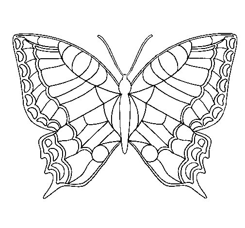 Dibujo Mariposa pintado por hsduk91