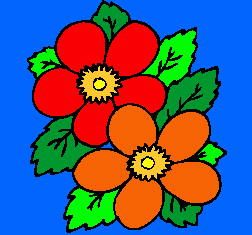 Dibujo Flores pintado por hymaguary