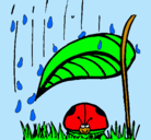 Dibujo Mariquita protegida de la lluvia pintado por wendy