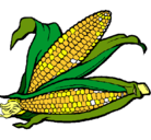 Dibujo Mazorca de maíz pintado por mazorca
