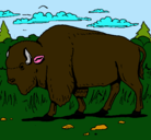 Dibujo Búfalo  pintado por manel