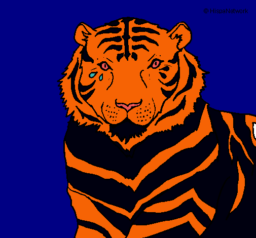 Dibujo Tigre pintado por razzi16