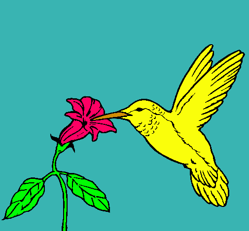 Dibujo Colibrí y una flor pintado por h0bdd