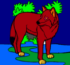 Dibujo Lobo pintado por marcogc