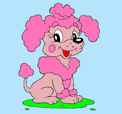 Dibujo Caniche pintado por pinkigrama