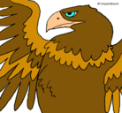 Dibujo Águila Imperial Romana pintado por beni
