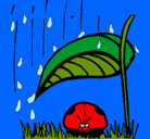 Dibujo Mariquita protegida de la lluvia pintado por negra