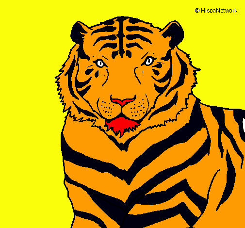 Dibujo Tigre pintado por fer9