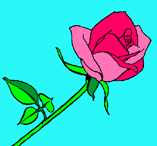 Dibujo Rosa pintado por coralmu004
