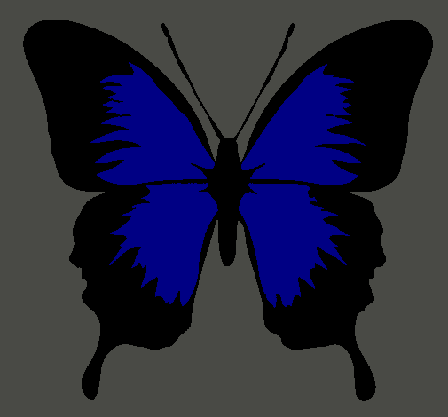 Dibujo Mariposa con alas negras pintado por pety
