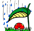 Dibujo Mariquita protegida de la lluvia pintado por oloo