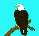 Dibujo Águila en una rama pintado por EAGLE