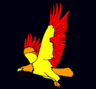 Dibujo Águila volando pintado por zeus