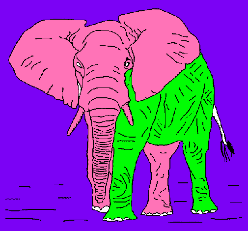 Dibujo Elefante pintado por MATEORN