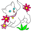 Dibujo Gatito pintado por gato