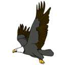 Dibujo Águila volando pintado por ppppp