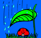Dibujo Mariquita protegida de la lluvia pintado por melissaben10