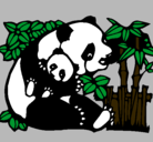 Dibujo Mama panda pintado por panza