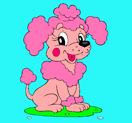 Dibujo Caniche pintado por diva23