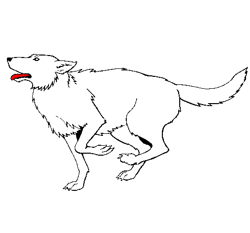 Dibujo Perro corriendo pintado por abraham