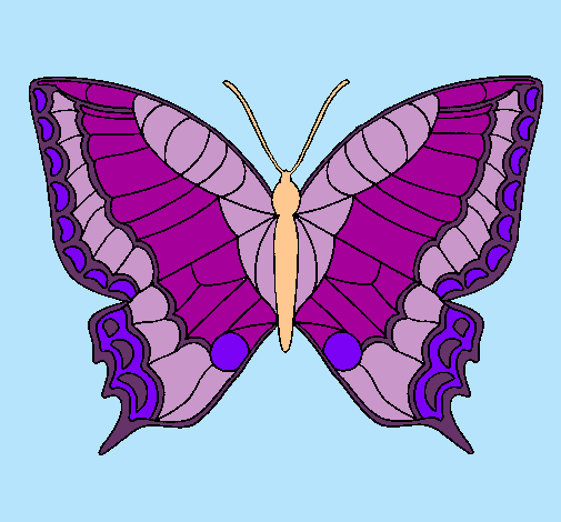 Dibujo Mariposa pintado por albitaaa