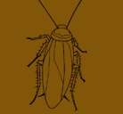 Dibujo Cucaracha pintado por lupeb