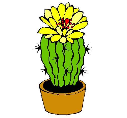 Dibujo Cactus con flor pintado por sabri9999