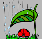 Dibujo Mariquita protegida de la lluvia pintado por pacla