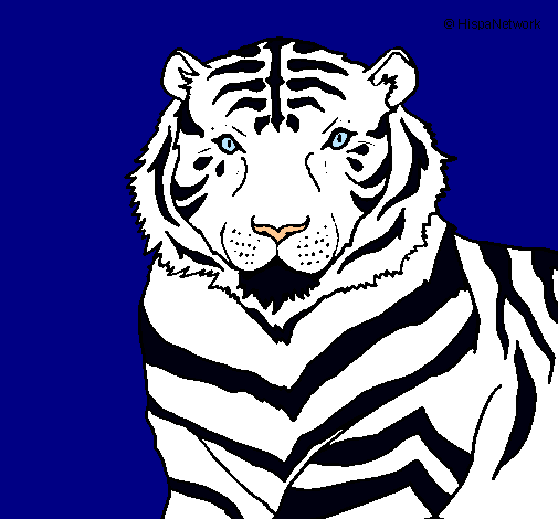 Dibujo Tigre pintado por koke