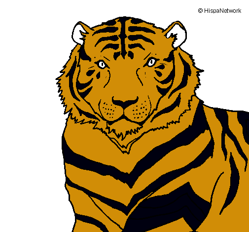 Dibujo Tigre pintado por MARTI-CATA