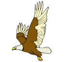 Dibujo Águila volando pintado por anemc
