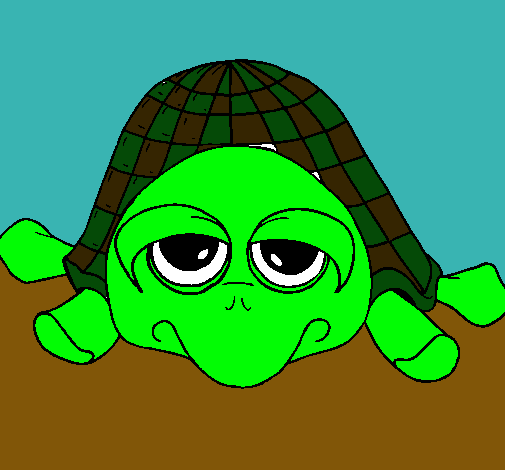 Dibujo Tortuga pintado por ximena_00