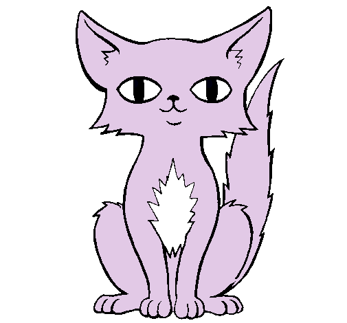 Dibujo Gato persa pintado por smv4