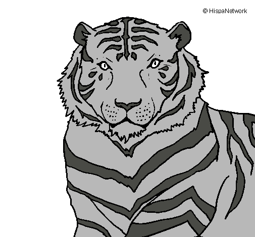 Dibujo Tigre pintado por joooou