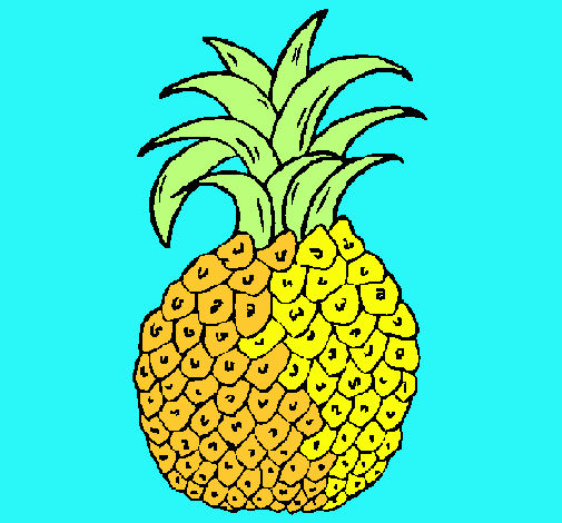 Dibujo piña pintado por gisbell