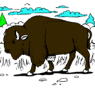 Dibujo Búfalo  pintado por bufalo