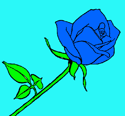 Dibujo Rosa pintado por marlen