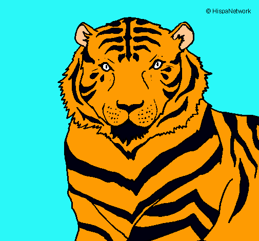 Dibujo Tigre pintado por Marce 