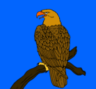 Dibujo Águila en una rama pintado por Aguila 