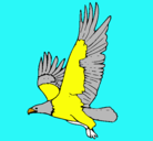 Dibujo Águila volando pintado por vick