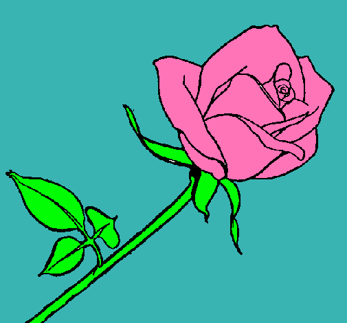 Dibujo Rosa pintado por itz3l