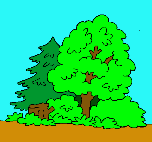 Dibujo Bosque pintado por alvarichu63