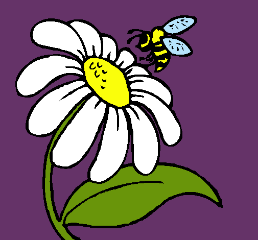 Dibujo Margarita con abeja pintado por CaRl05
