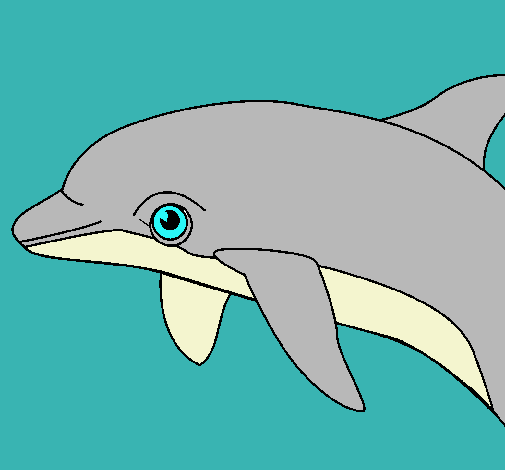 Dibujo Delfín pintado por elsa