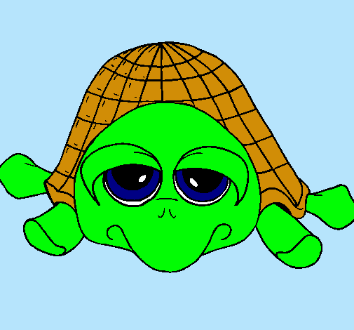 Dibujo Tortuga pintado por masrcd