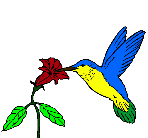 Dibujo Colibrí y una flor pintado por bernirodri