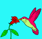 Dibujo Colibrí y una flor pintado por herty